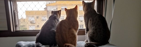 brokiado Profile Banner