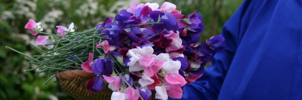 SarahRosemary3 Profile Banner