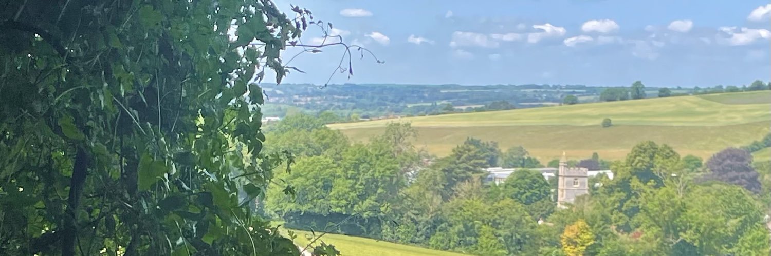 Doris-Ann Williams banner