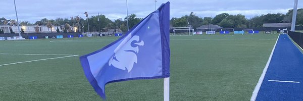 AHFCRoyals Profile Banner