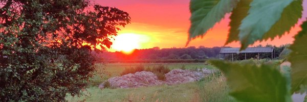 leannegreaves3 Profile Banner