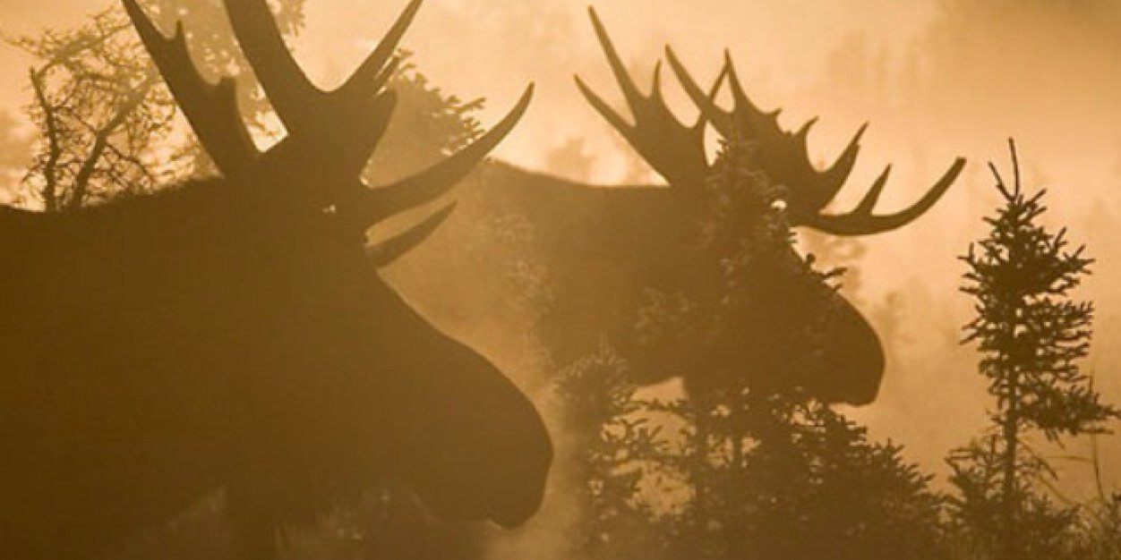 dtowery7's profile banner image