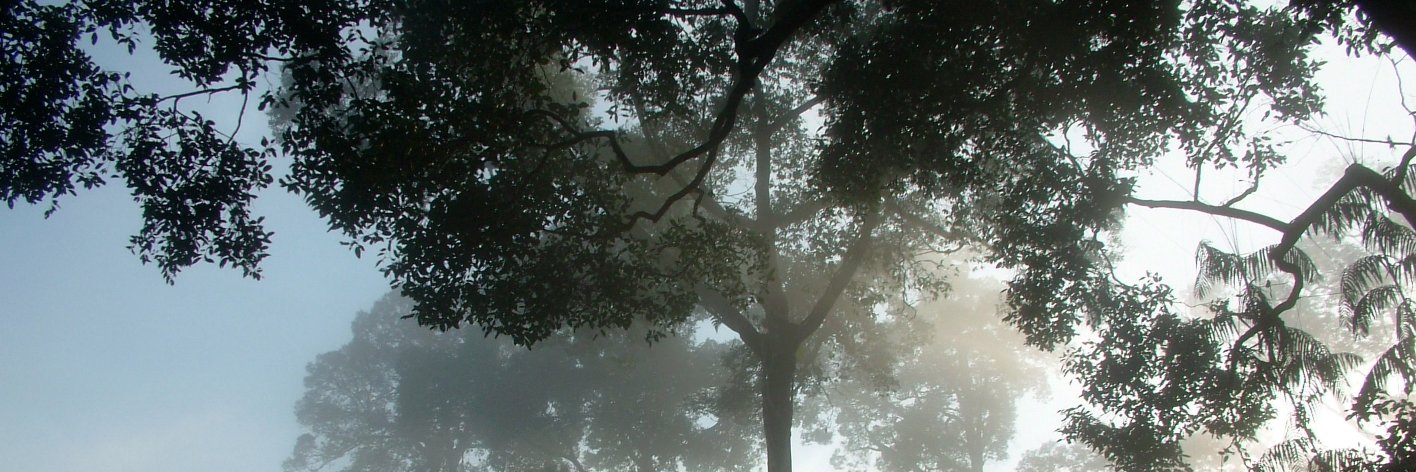 CanopyCamp's profile banner image