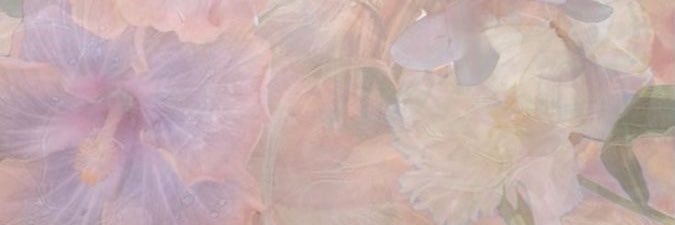 valglzr's profile banner image