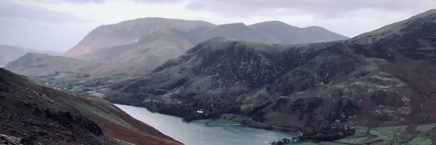 Meike van Lit banner