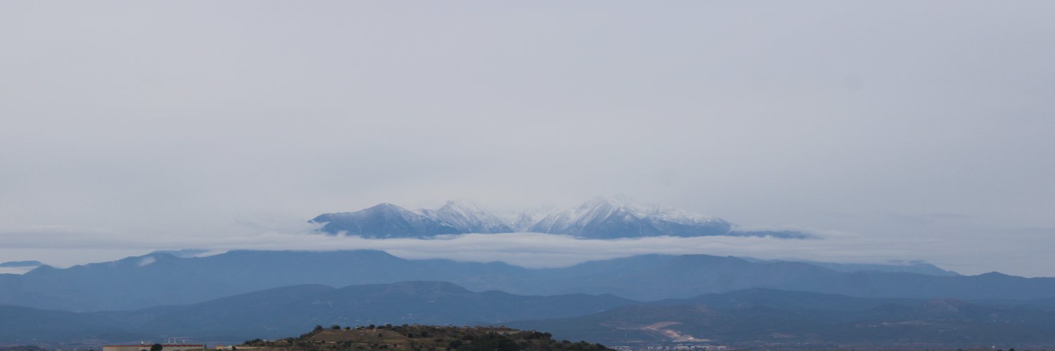 Herr Niemand ⚜️ Somerset banner