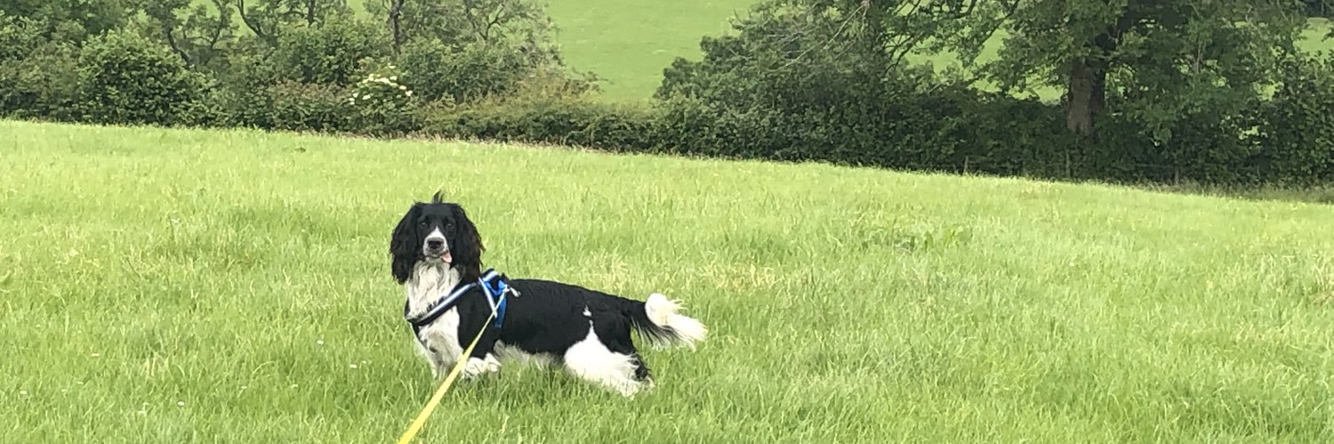 Dr Rachael Thompson banner