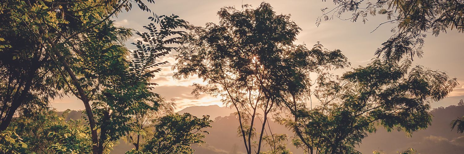 _JayNeil_'s profile banner image