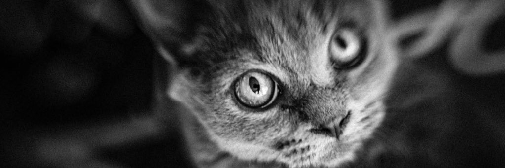 nursenotdoc's profile banner image