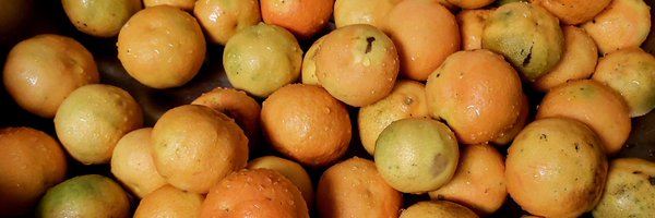 EstherSolomon Profile Banner