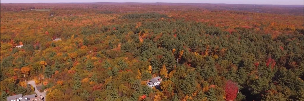 david b campbell banner