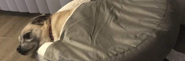 ToreySchell Profile Banner