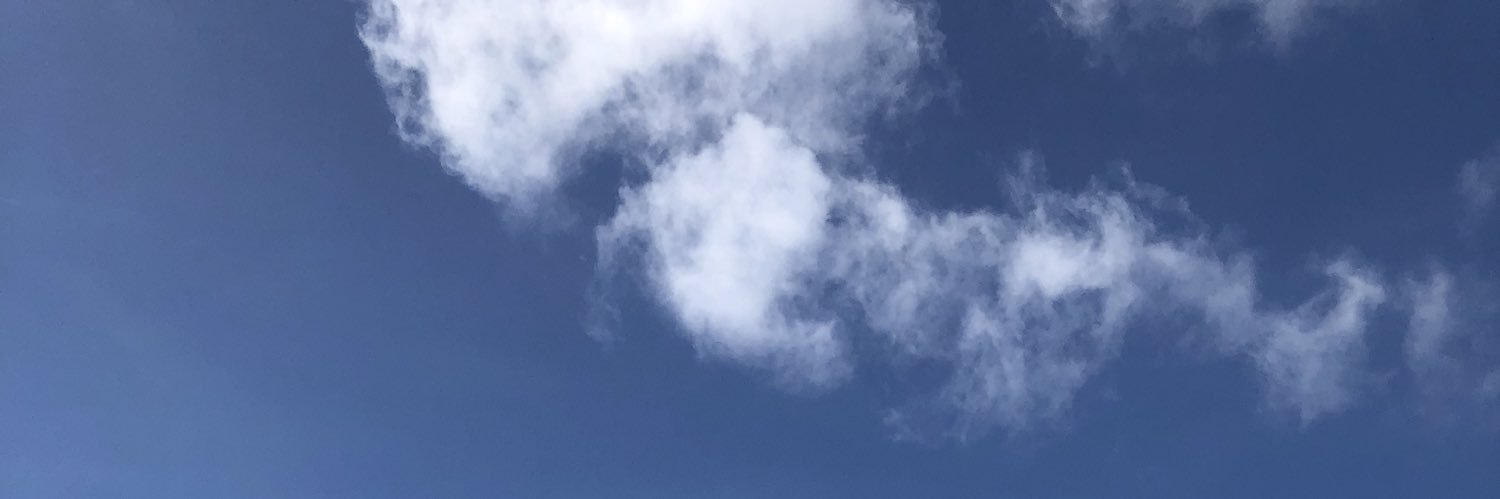 snvan banner
