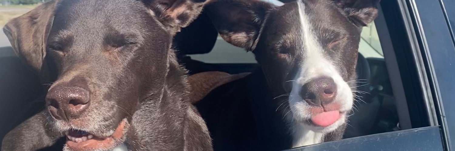 Eden Sunshine banner