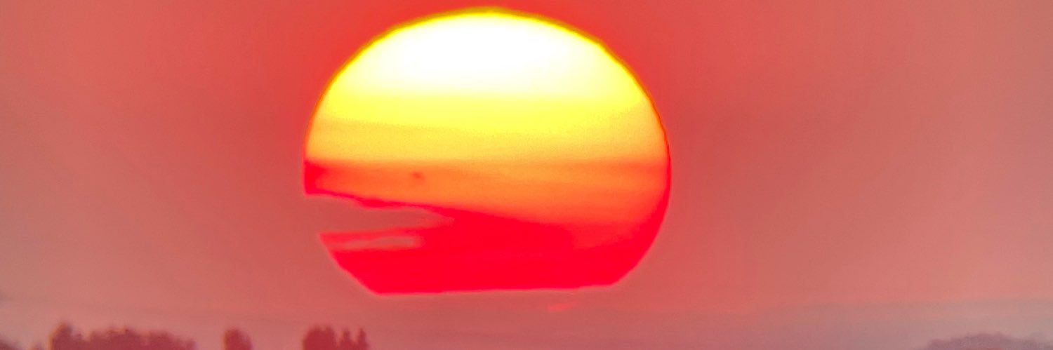 HellscreaMMA's profile banner image