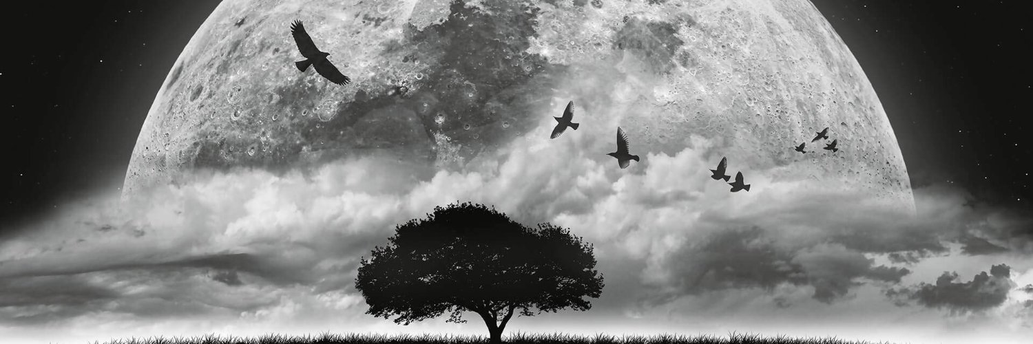 sseraside's profile banner image