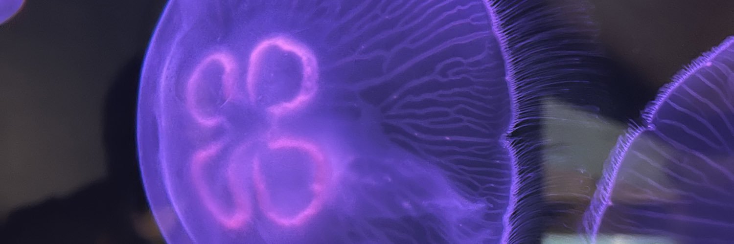 annabongg's profile banner image