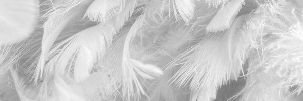 johaab Profile Banner