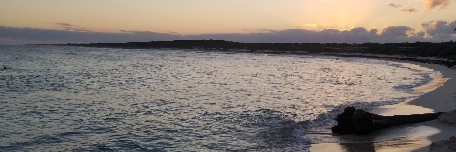 Cinosix's profile banner image
