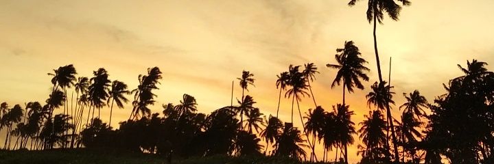 só nat mesmo banner