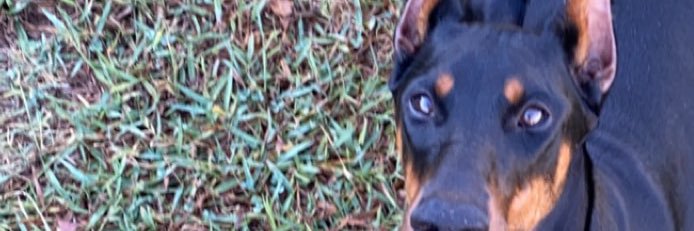 LindiPerkins's profile banner image