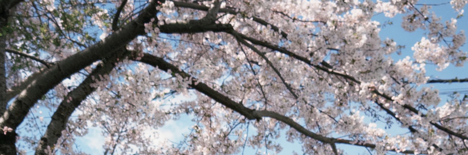 fayengets's profile banner image