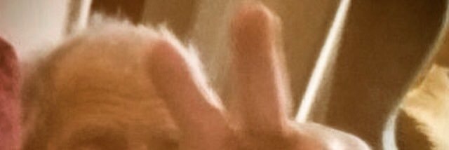 hemdemc's profile banner image