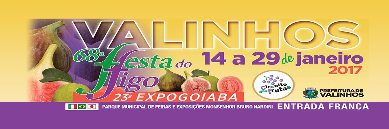 festadofigo's profile banner image