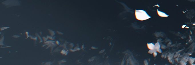 ❈ banner
