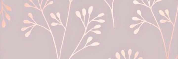 absolutmare's profile banner image