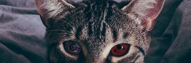 wanhilmi_'s profile banner image