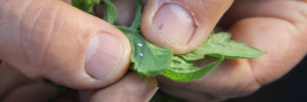 GreenPatrolProj Profile Banner