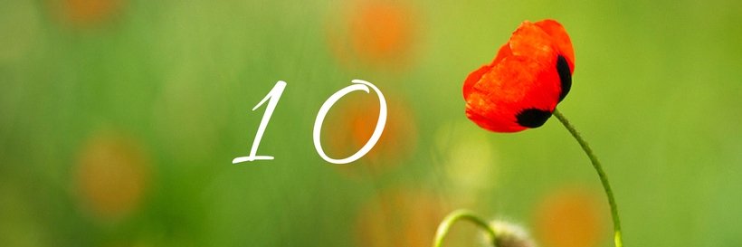 propark_ro's profile banner image