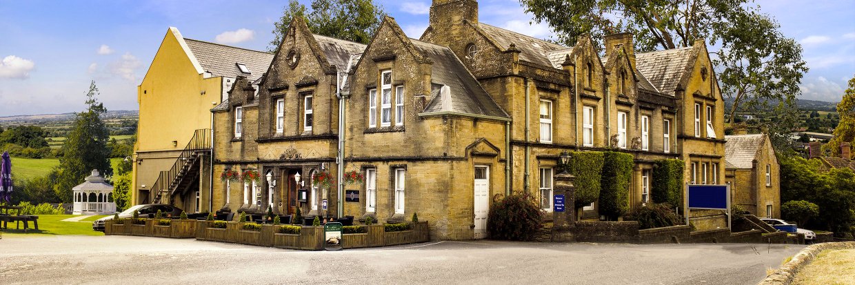 shrubberyhotel's profile banner image