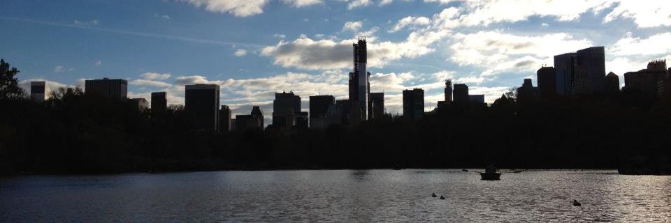 lschocker's profile banner image
