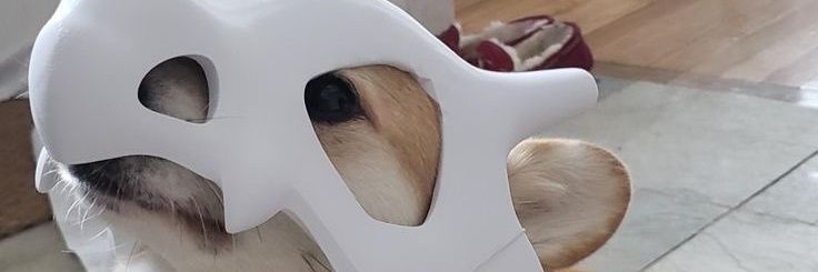 tempebenar's profile banner image