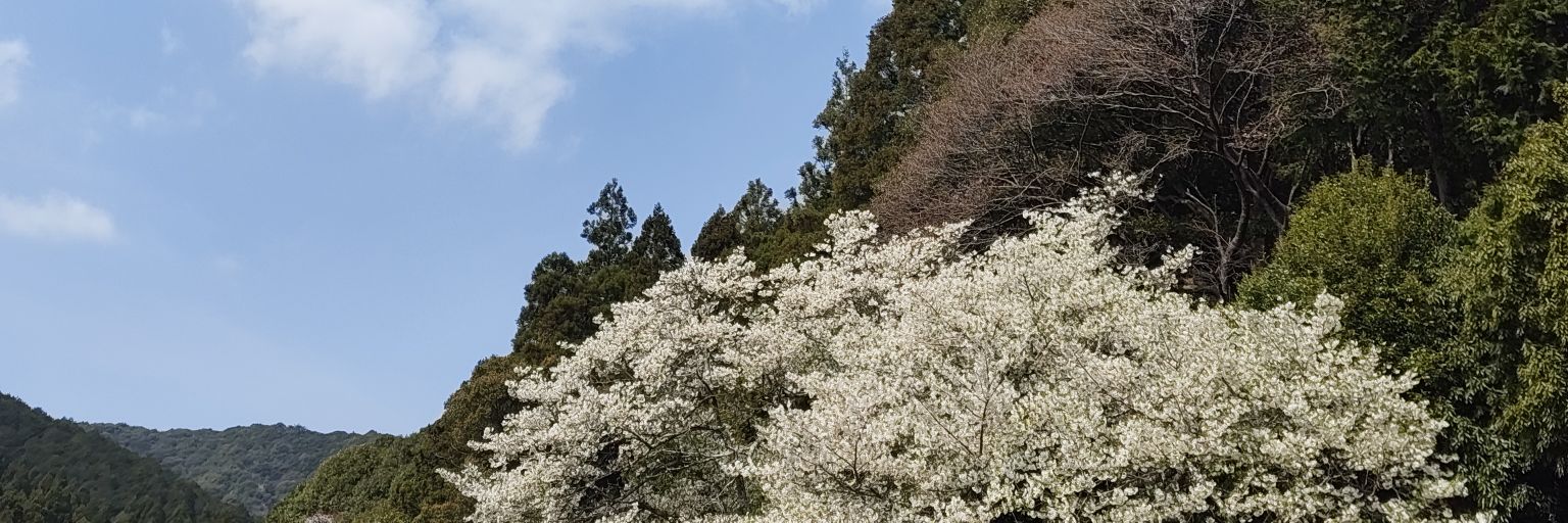 mina2ka's profile banner image