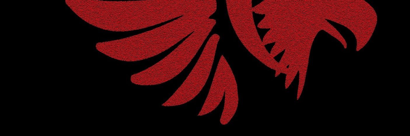CritzDevine's profile banner image