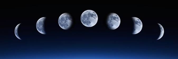 Yavuz Bekir Beyzadeoğlu banner