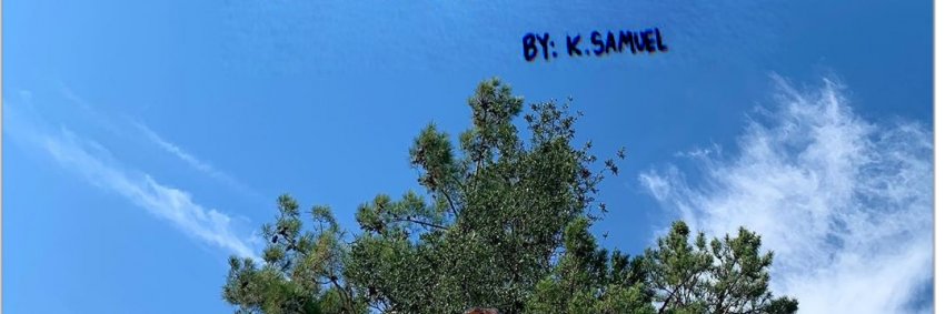 maneore_muel's profile banner image