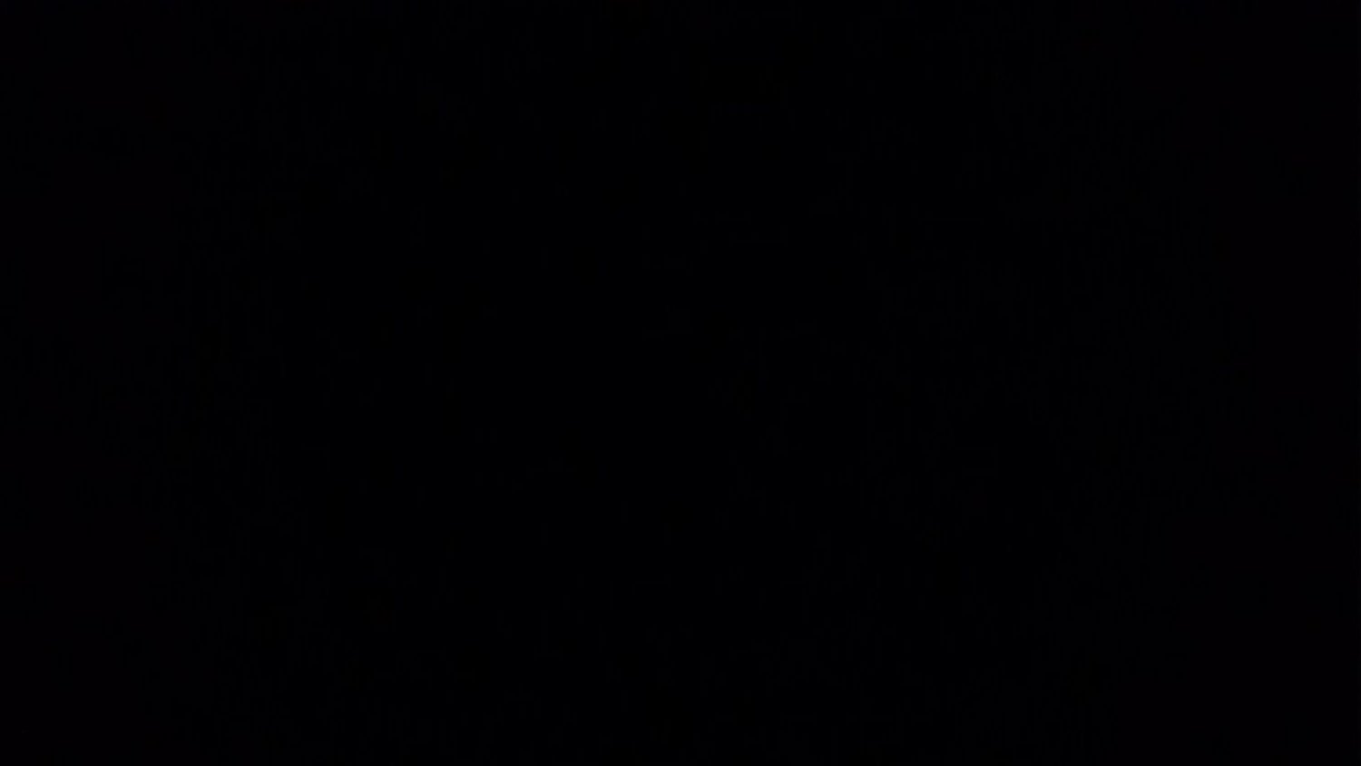 renatofeg's profile banner image