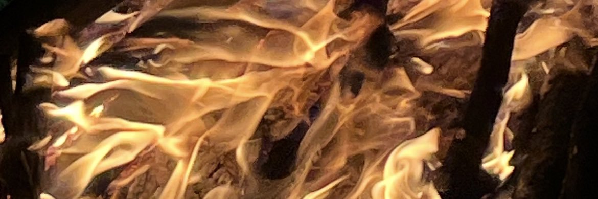 25tuno's profile banner image