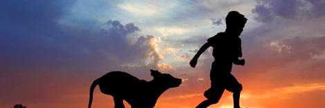 juli_gpe's profile banner image