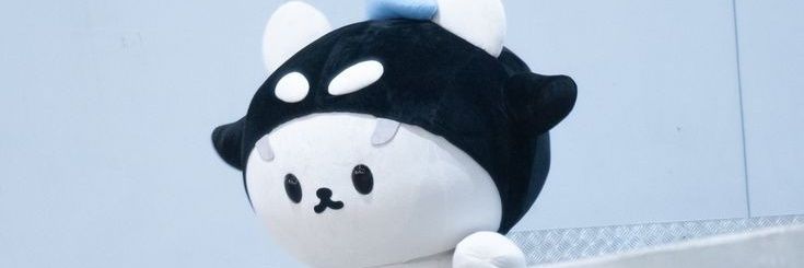 cloudynewwiee's profile banner image