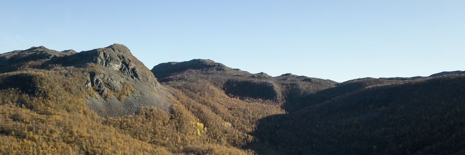 rogerfj's profile banner image