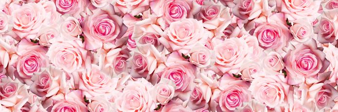 esther_ffischer's profile banner image