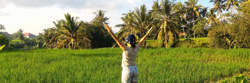 ElokDyah's profile banner image