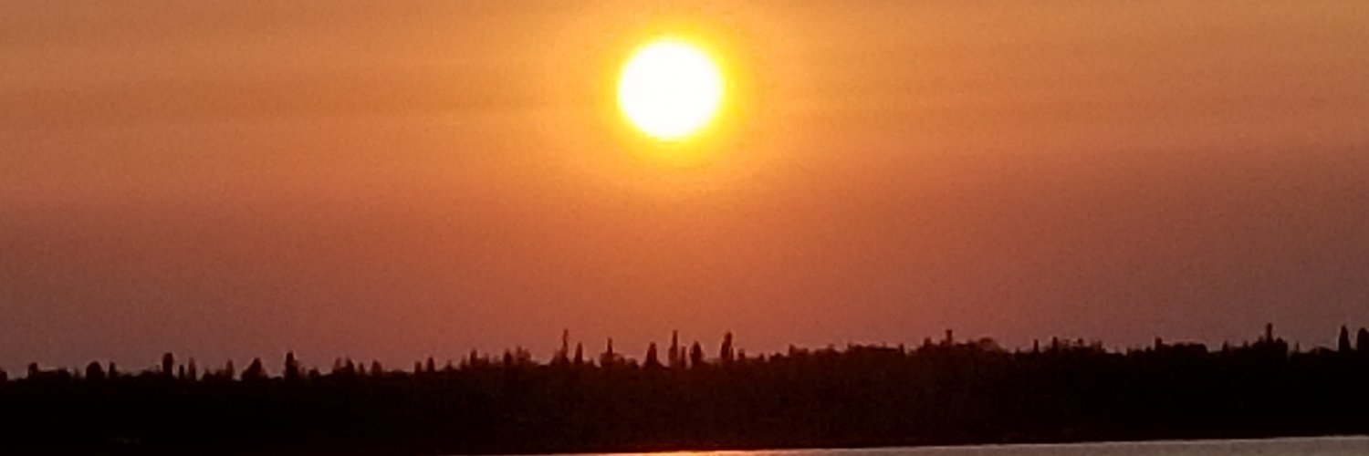 DPareChampoux's profile banner image