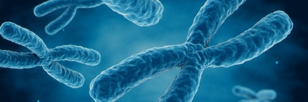 LuLaboratory Profile Banner