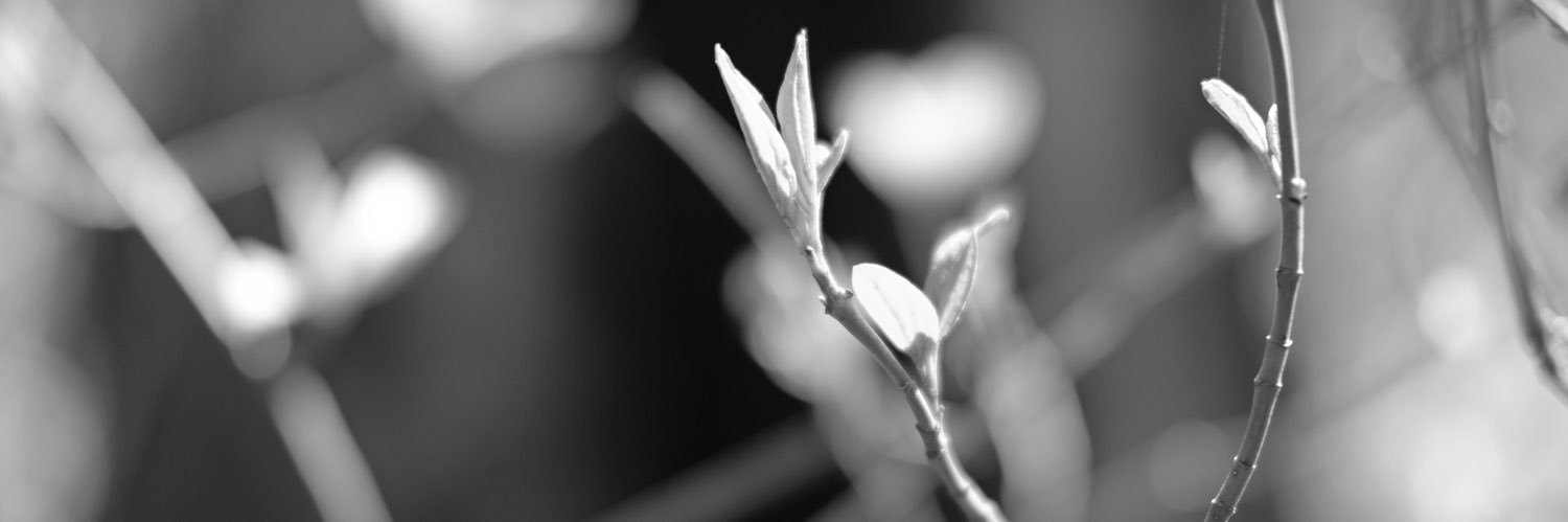 _sub_rosa_'s profile banner image